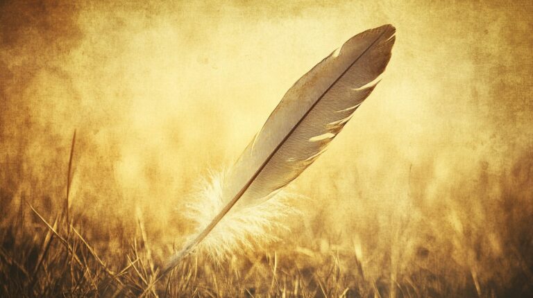 5 Powerful Meanings Behind Feather Symbolism - Knahm